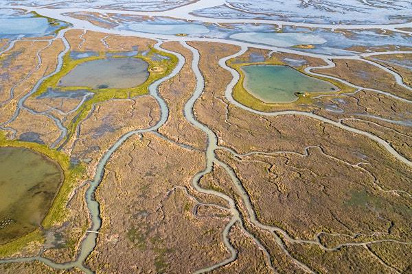 image of a river delta